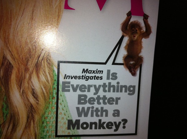 Maxim-um Monkey